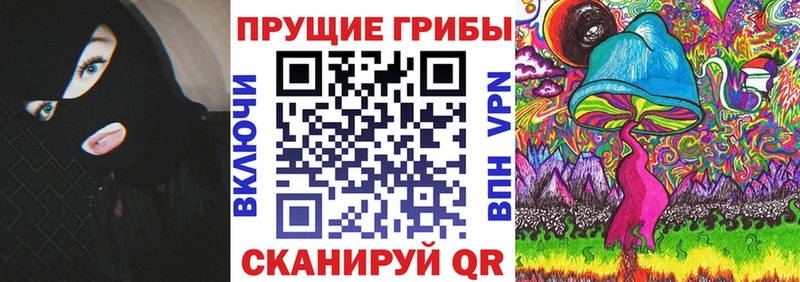 Псилоцибиновые грибы Cubensis  мега ССЫЛКА  Приволжск  закладки 